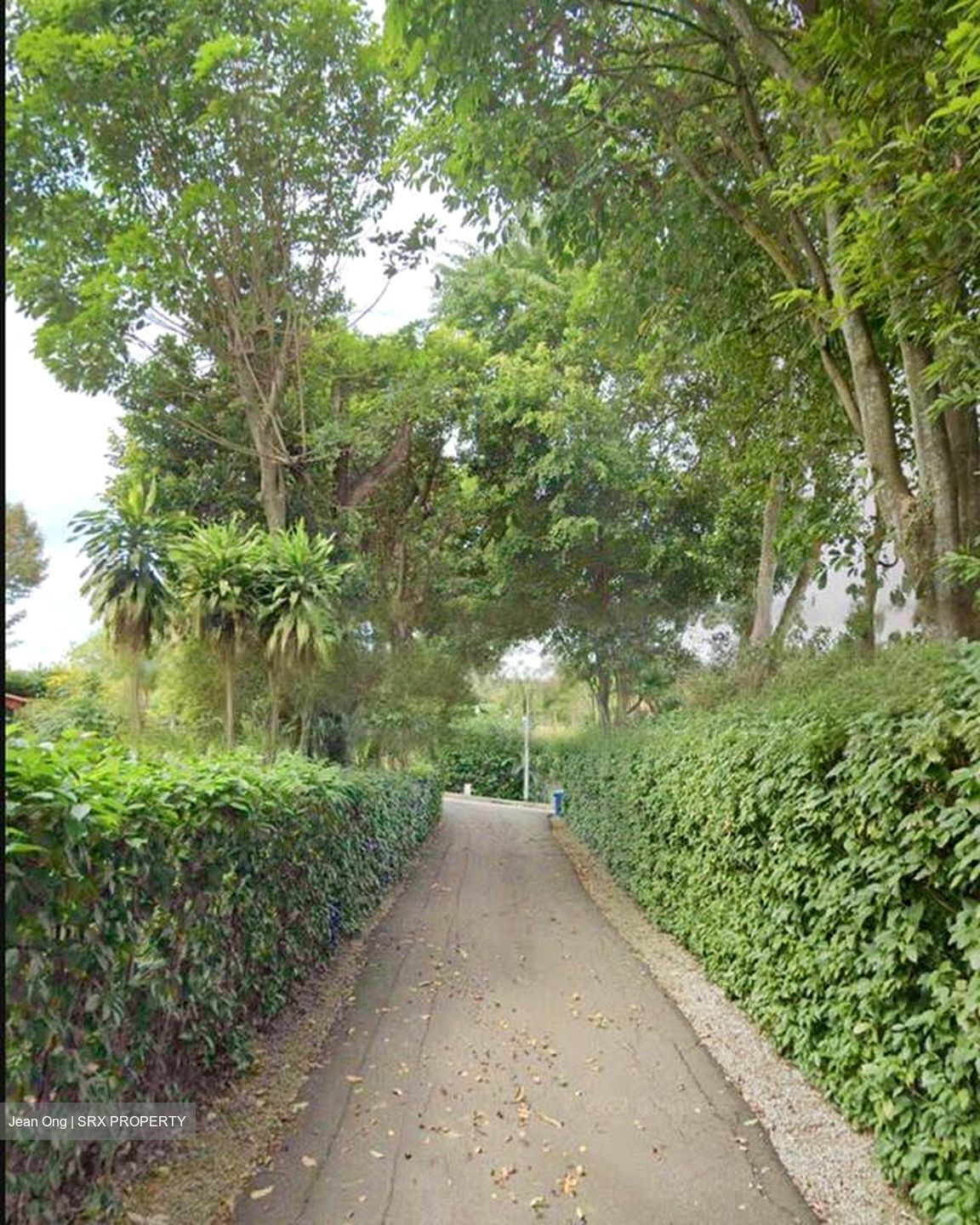 Duchess Avenue (D10), Detached #496788701
